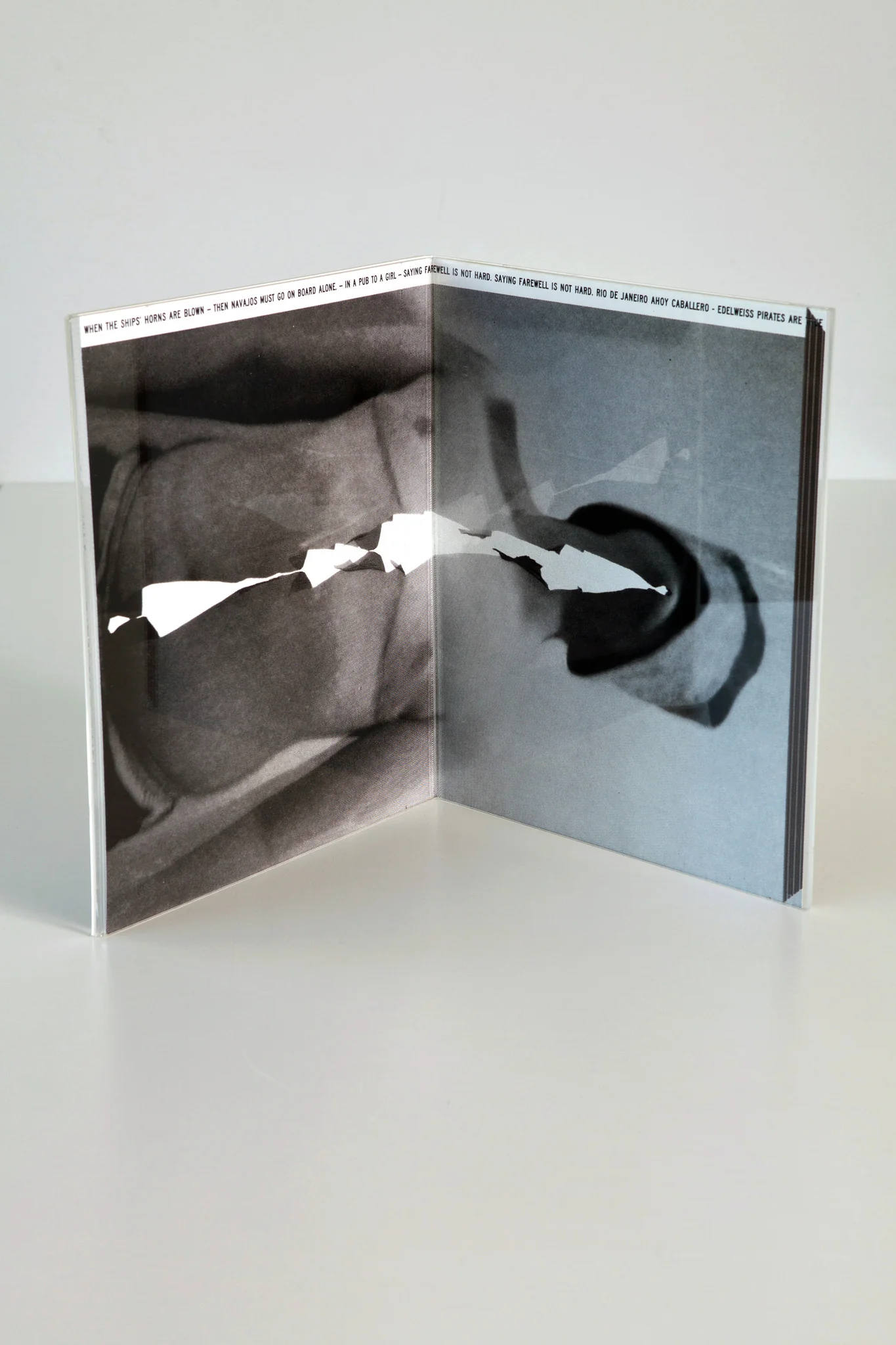 R.H. Quaytman: Point De Gaze, Chapter 23 Print - Image 6