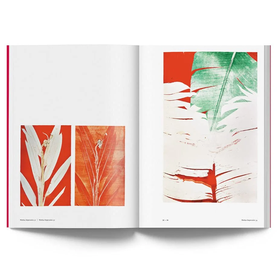 Luiz Zerbini: Botanica - Image 5